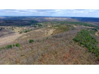 Property photo 42 - LAND AUCTION - 2,596+/- ACRES IN 28 TRACTS IN COSHOCTON & MUSKINGUM COUNTIES, OHIO